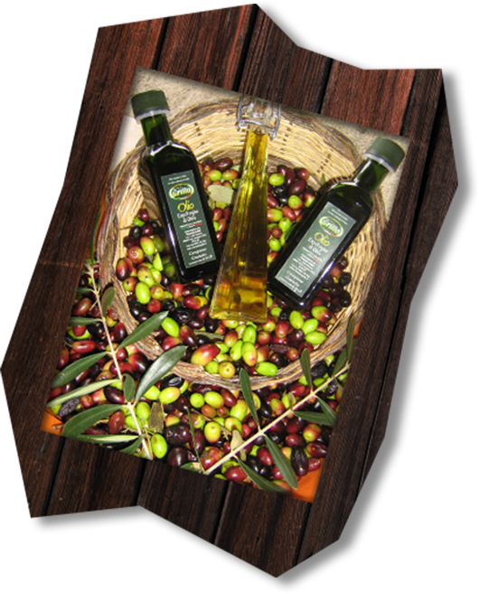 olio frantoio grillo